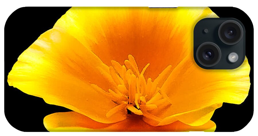 California Poppy iPhone Case featuring the photograph Poppy Portrait by Susan Eileen Evans