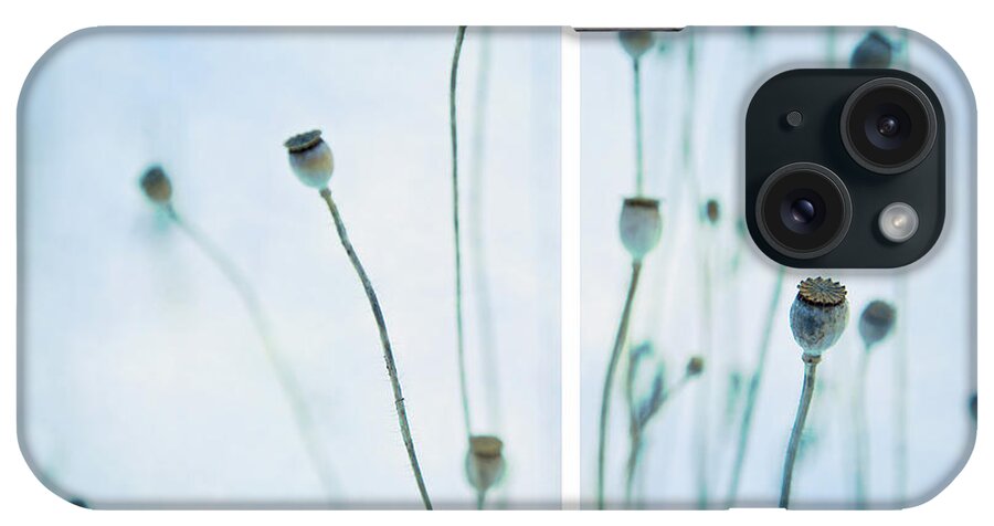 Seeds iPhone Case featuring the photograph Poppy Seed Pods by Theresa Tahara