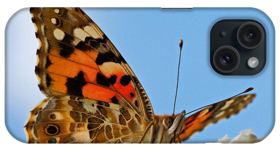 Portrait iPhone Case featuring the photograph Portrait of a butterfly by Nick Biemans