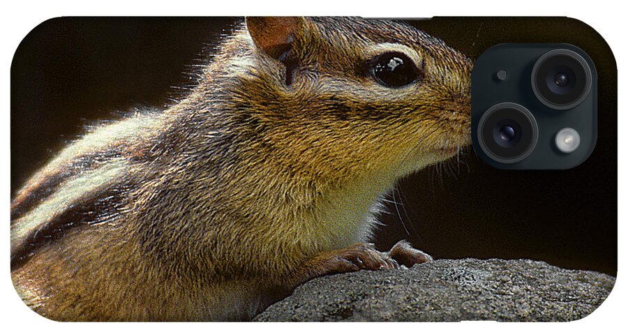 Nature iPhone Case featuring the photograph Portrait of a Chipmunk by Phil Jensen