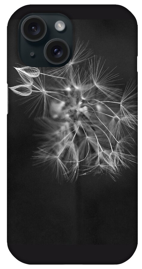 Dandelion iPhone Case featuring the photograph Portrait of a Dandelion by Rona Black