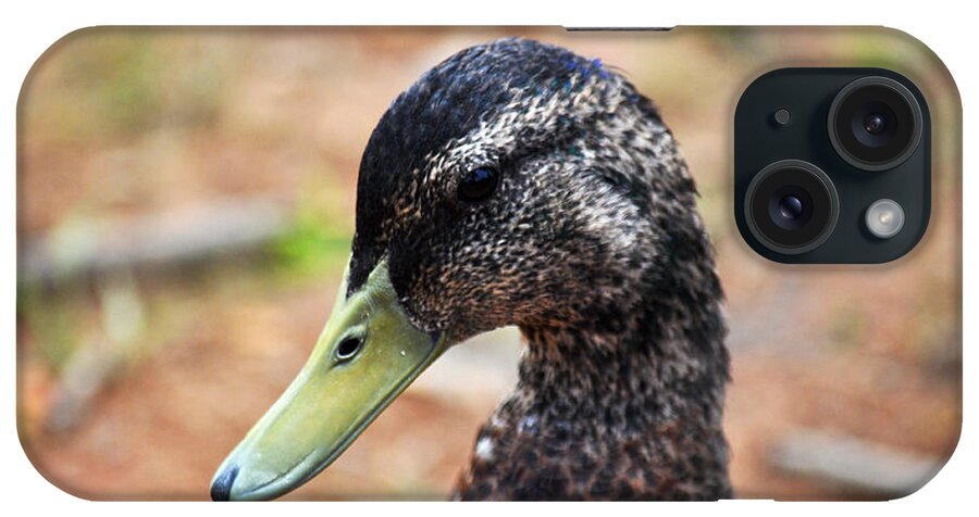 Duck iPhone Case featuring the photograph Portrait of an Alabama Duck 3 by Verana Stark
