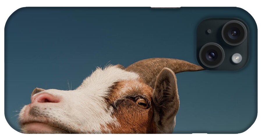 North Holland iPhone Case featuring the photograph Portrait Of Goat by Thomas Winz