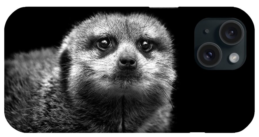 Alertness iPhone Case featuring the photograph Portrait Of Meerkat by Malcolm Macgregor