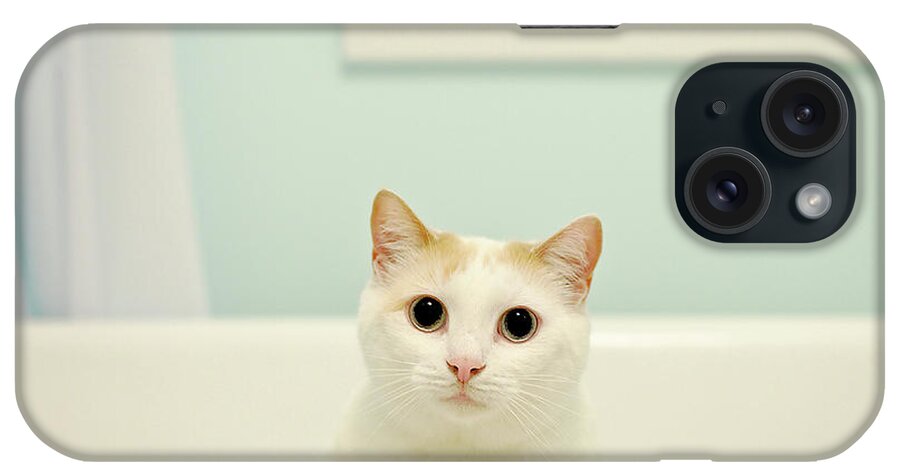 Pets iPhone Case featuring the photograph Portrait Of White Cat by Melissa Ross
