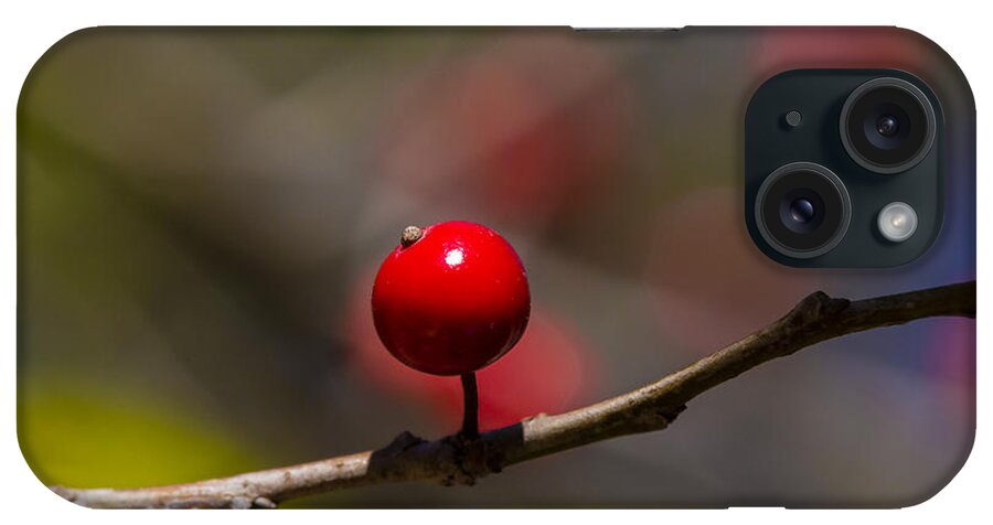 Nature iPhone Case featuring the photograph Possumhaw Fruit Abstraction by Steven Schwartzman