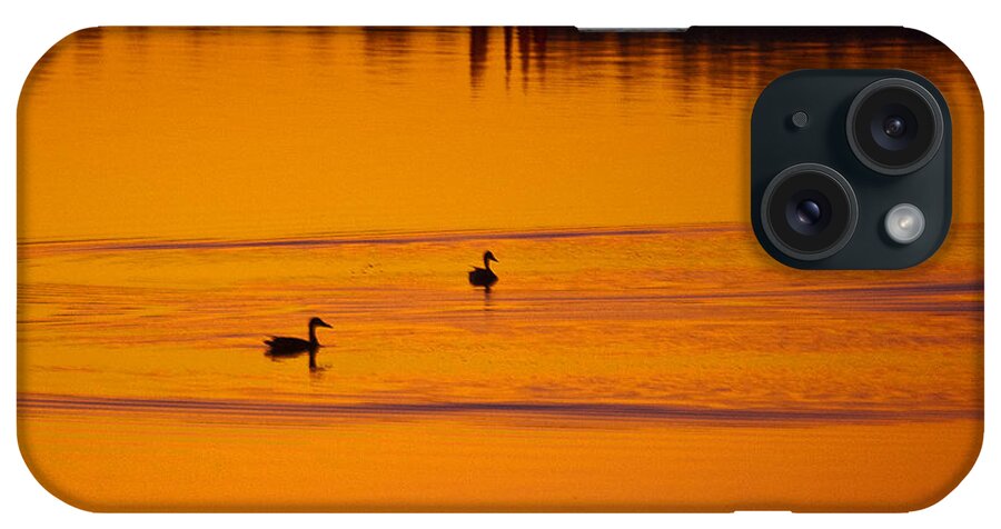 Ducks iPhone Case featuring the photograph Pre Dawn Light by Ron Roberts