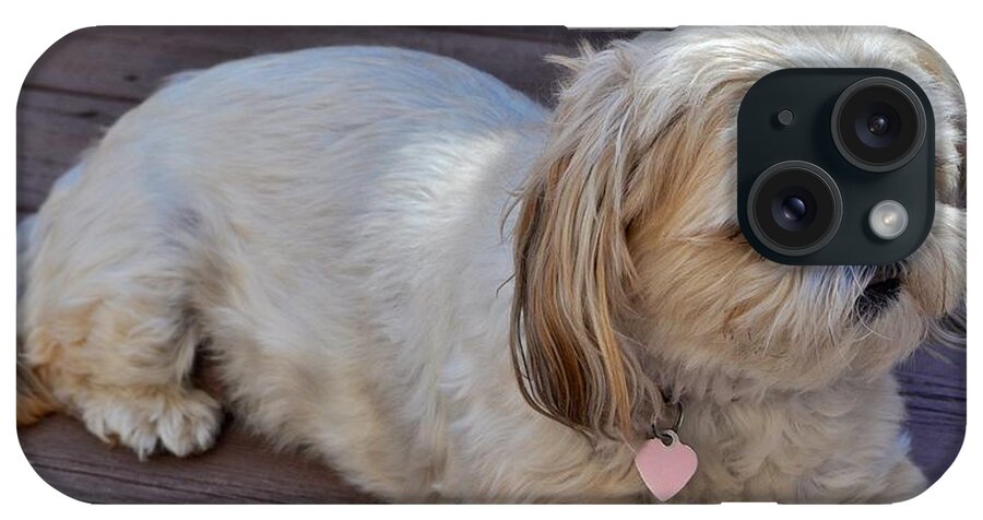 Dog Print iPhone Case featuring the photograph Precious by Kristina Deane