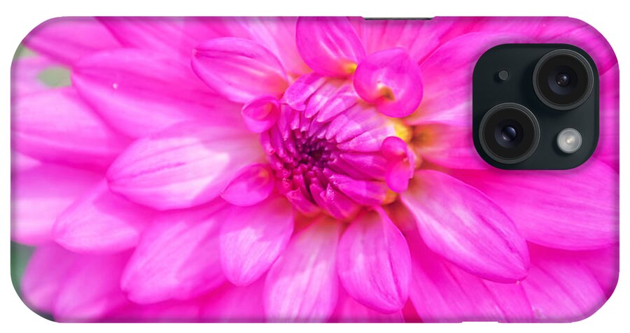 Peggy Franz Flowers iPhone Case featuring the photograph Pretty In Pink Dahlia by Peggy Franz