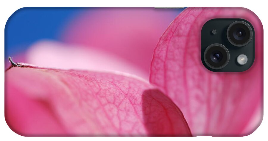 Pink iPhone Case featuring the photograph Pretty in Pink by Kathy Paynter