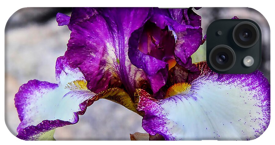 Flowers iPhone Case featuring the photograph Pretty N Purple by Elaine Malott