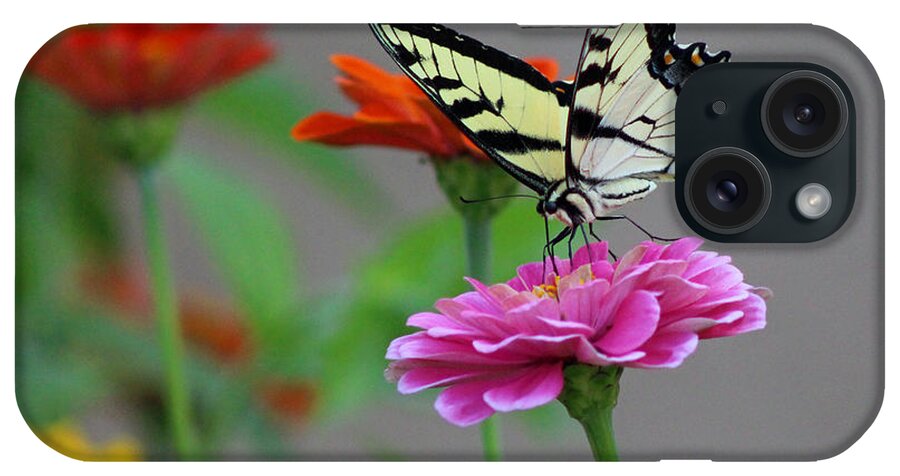 Butterfly iPhone Case featuring the photograph Pretty On Pink by Lorna Rose Marie Mills DBA Lorna Rogers Photography