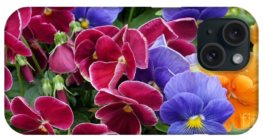 Pansies iPhone Case featuring the photograph Pretty Pansy Parade by Lilliana Mendez