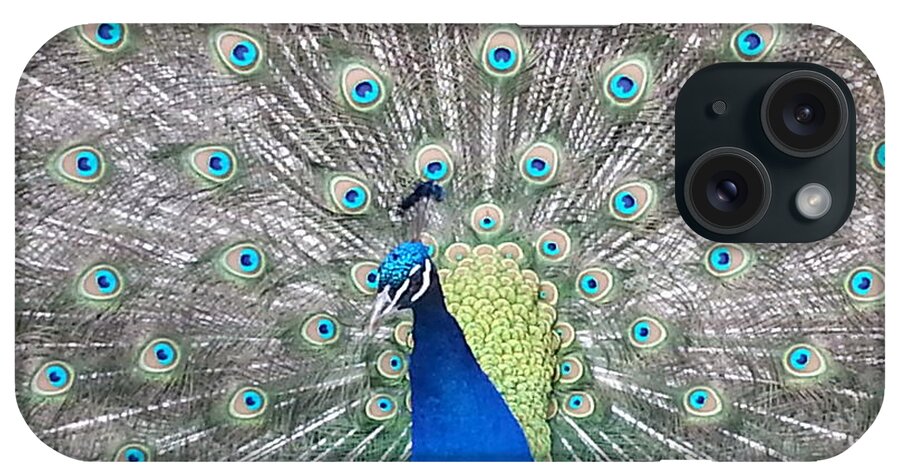 Peacock iPhone Case featuring the photograph Pride by Caryl J Bohn