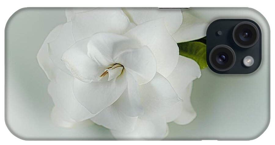 Flower Of The Day iPhone Case featuring the photograph Pristine by Jade Moon 