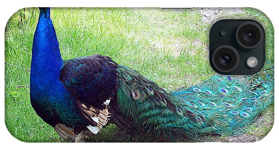 Peacock iPhone Case featuring the photograph Pristine Peacock by Lora Mercado