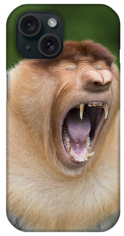 Suzi Eszterhas iPhone Case featuring the photograph Proboscis Monkey Dominant Male Yawning by Suzi Eszterhas