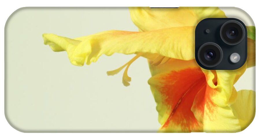  Gladiola iPhone Case featuring the photograph Profiling Glady by Deborah Crew-Johnson