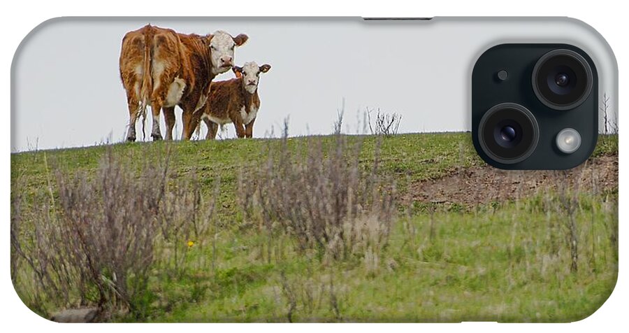  iPhone Case featuring the photograph Protective Mom by Dyle  Warren
