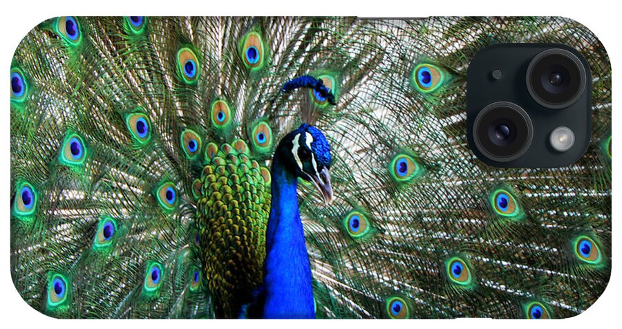 Peacock iPhone Case featuring the photograph Proud Peacock by Laurel Powell