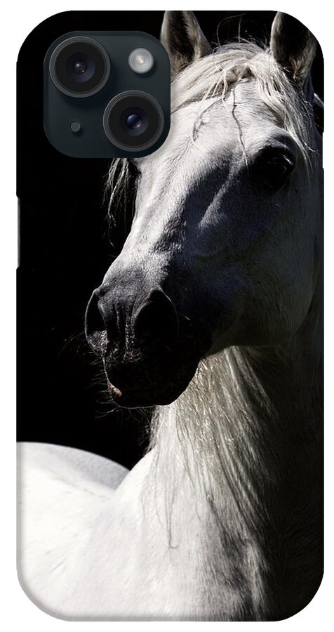 Proud Stallion iPhone Case featuring the photograph Proud Stallion by Wes and Dotty Weber