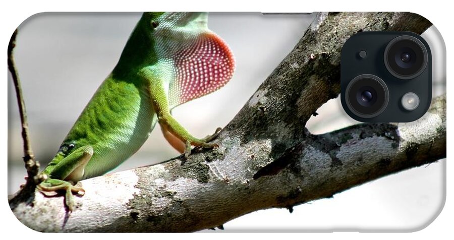 Anole iPhone Case featuring the photograph Proud to be Green by Jeanne Juhos