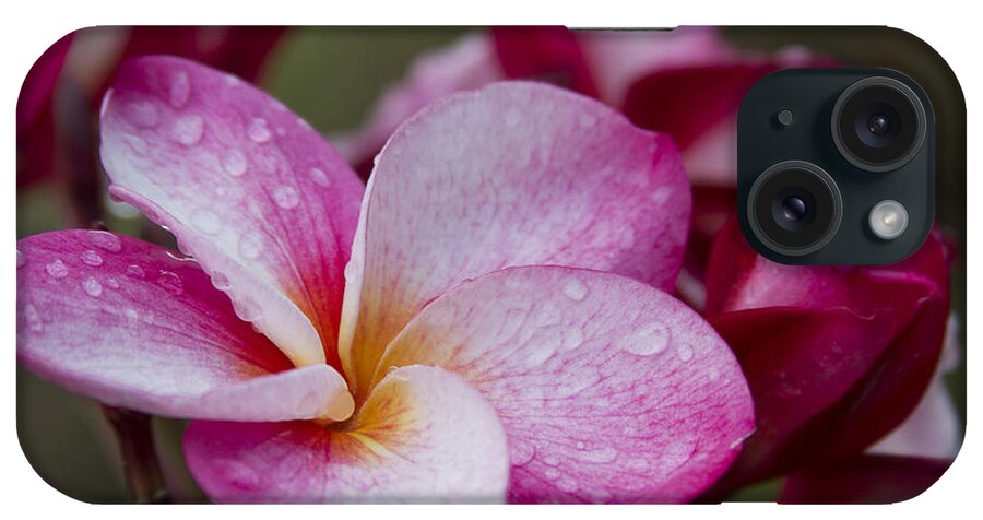 Aloha iPhone Case featuring the photograph Pua Melia Floral Celebration by Sharon Mau