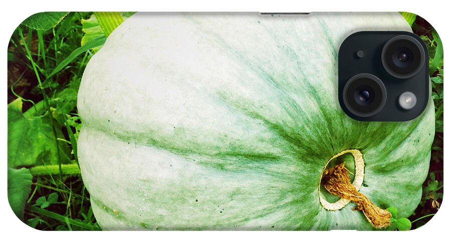 Agriculture iPhone Case featuring the photograph Pumpkin by Les Cunliffe