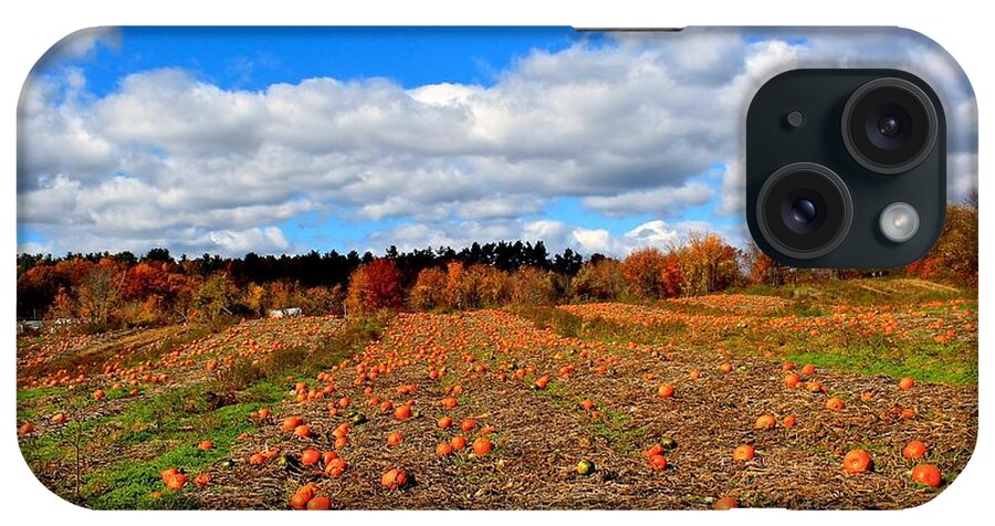 Pumpkins iPhone Case featuring the photograph Pumpkin Patch at Rota Springs by Michael Saunders