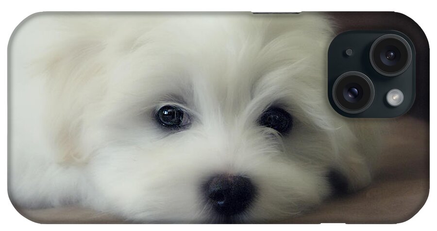 Dog iPhone Case featuring the photograph Puppy Eyes by Melanie Lankford Photography