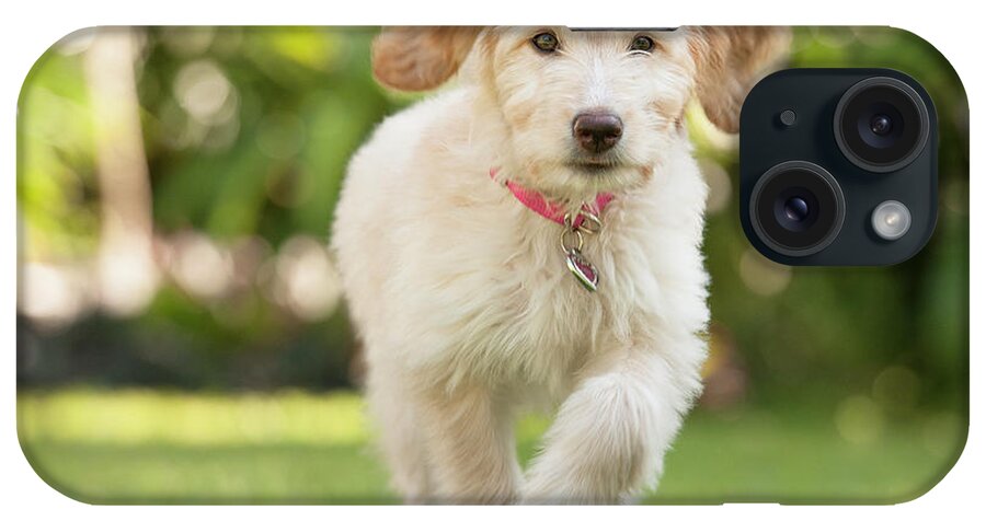 Pets iPhone Case featuring the photograph Puppy Running Through The Grass by Chris Stein