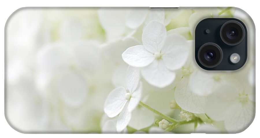 Hydrangea iPhone Case featuring the photograph Purity by Patty Colabuono