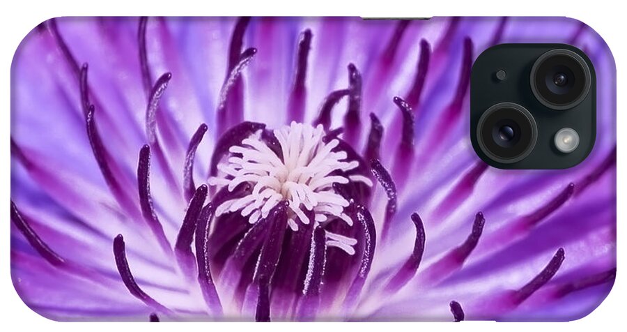 Clematis iPhone Case featuring the photograph Purple Clematis by Richard J Thompson 