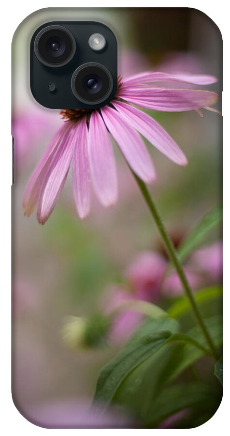 Purple Coneflower iPhone Case featuring the photograph Purple Coneflower by April Reppucci