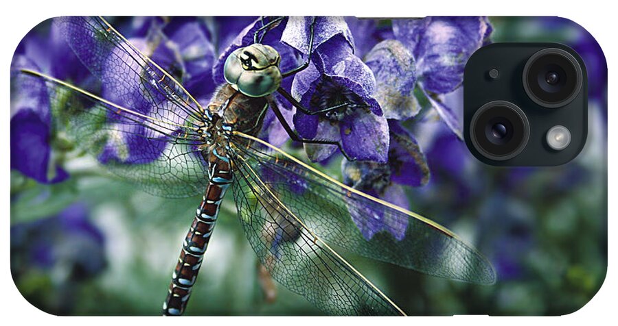 Dragonfly iPhone Case featuring the photograph Purple Dragonfly by Stan Kwong
