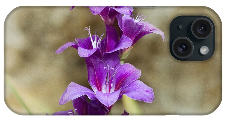 Gladiolus iPhone Case featuring the photograph Purple Elegance by Kim Hojnacki
