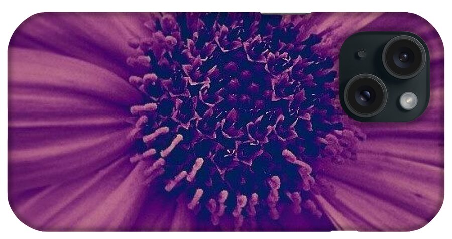 Love iPhone Case featuring the photograph Purple by Emanuela Carratoni