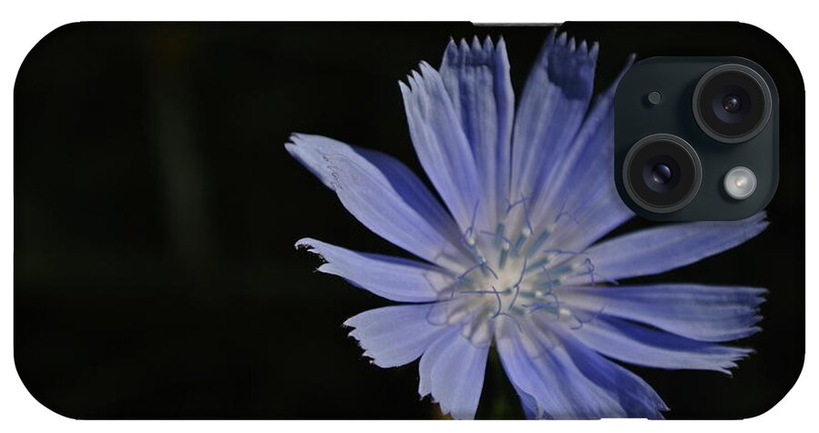  iPhone Case featuring the photograph Purple Emerging by Sharron Cuthbertson