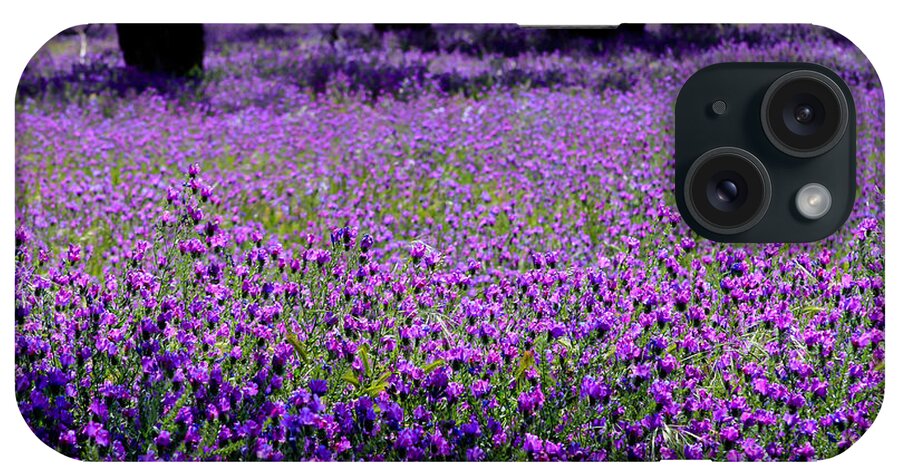 Purple iPhone Case featuring the photograph Purple fields by Jenny Setchell