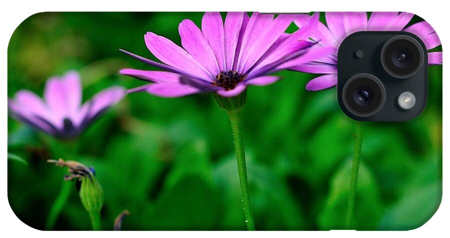 Purple iPhone Case featuring the photograph Purple Flowers by Joe Ng