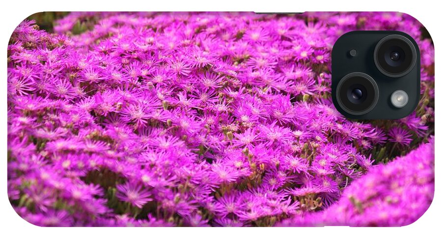 Purple Noon-flower iPhone Case featuring the photograph Purple Hills by Amy Gallagher