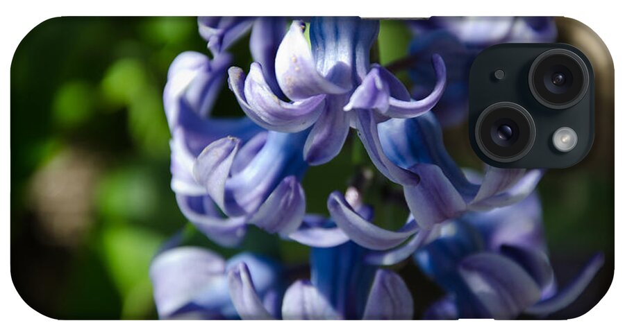 Purple iPhone Case featuring the photograph Purple Hyacinth by Laurel Best