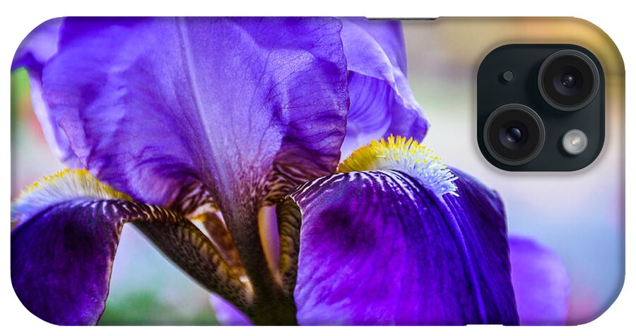 Purple iPhone Case featuring the photograph Purple Iris by Cheryl McClure