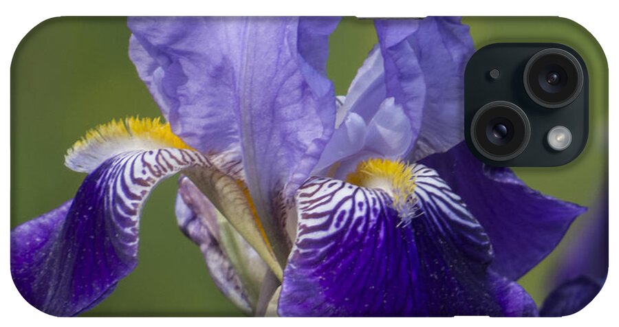 Purple iPhone Case featuring the photograph Purple Iris IV by Lili Feinstein