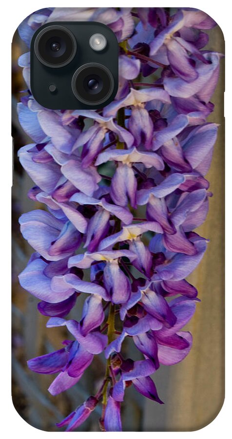  iPhone Case featuring the photograph Purple Orchid Like Flower by James Gay