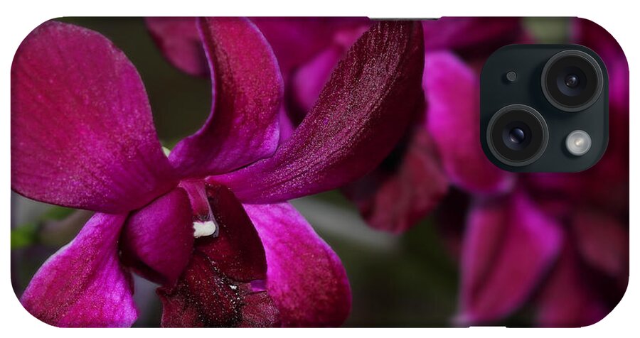 Purple iPhone Case featuring the photograph Purple Orchid by Meg Rousher
