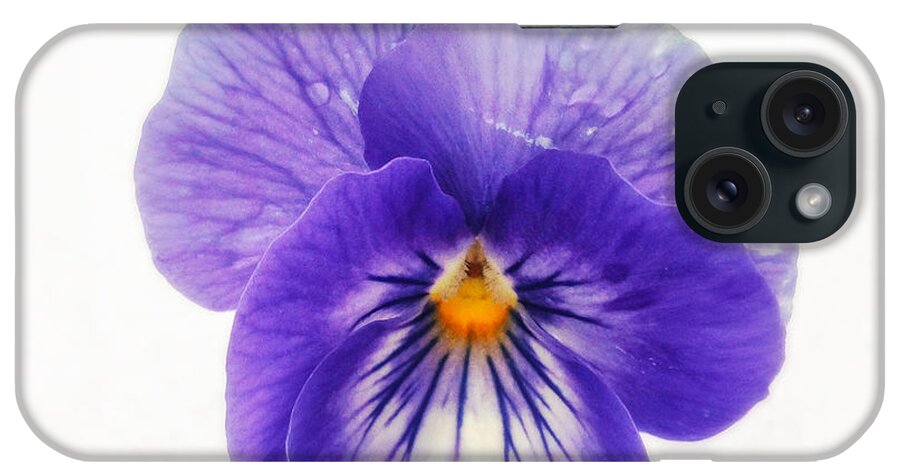 Purple iPhone Case featuring the photograph Purple pansy - tough flower in the snow by Matthias Hauser