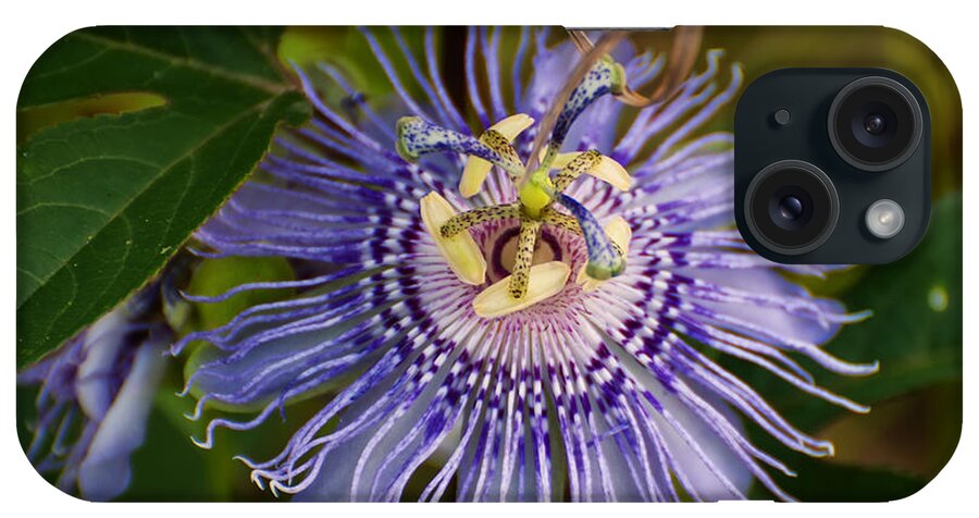 Flowers iPhone Case featuring the photograph Purple Passion flower by Flees Photos