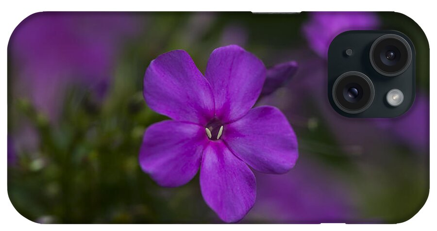 Wildflowers iPhone Case featuring the photograph Purple Portal by Dan Hefle