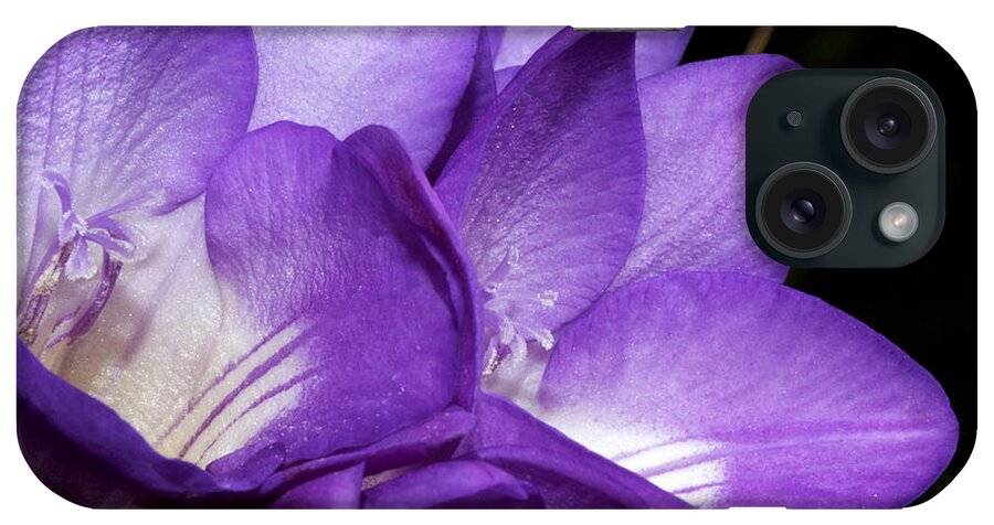 Flower iPhone Case featuring the photograph Purple Springtime by Phyllis Denton
